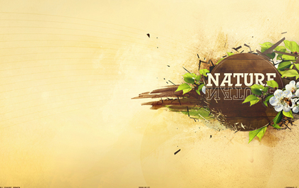 账号充值商城的ddos攻击